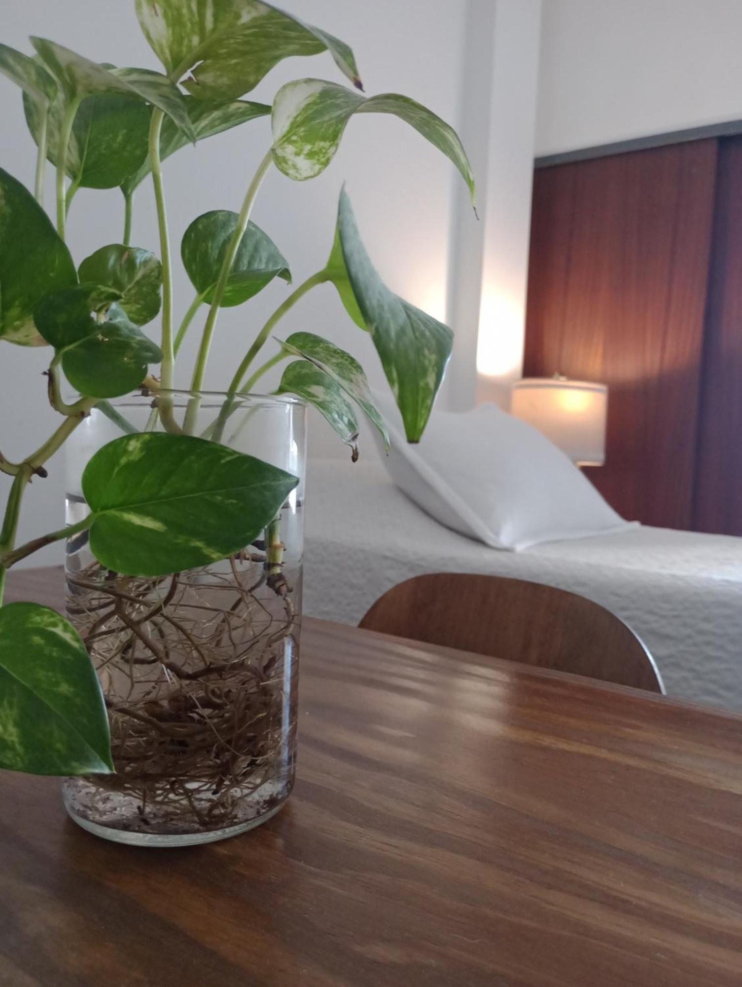 A Media Cuadra De La Principal Av Boulevard Orono! Rosario! Apartment *