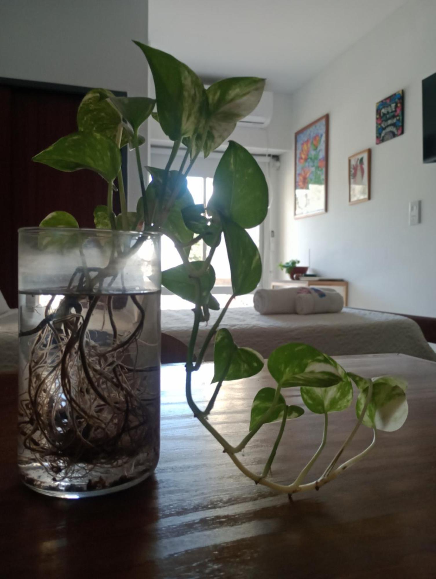 A Media Cuadra De La Principal Av Boulevard Orono! Rosario! Apartment Rosario